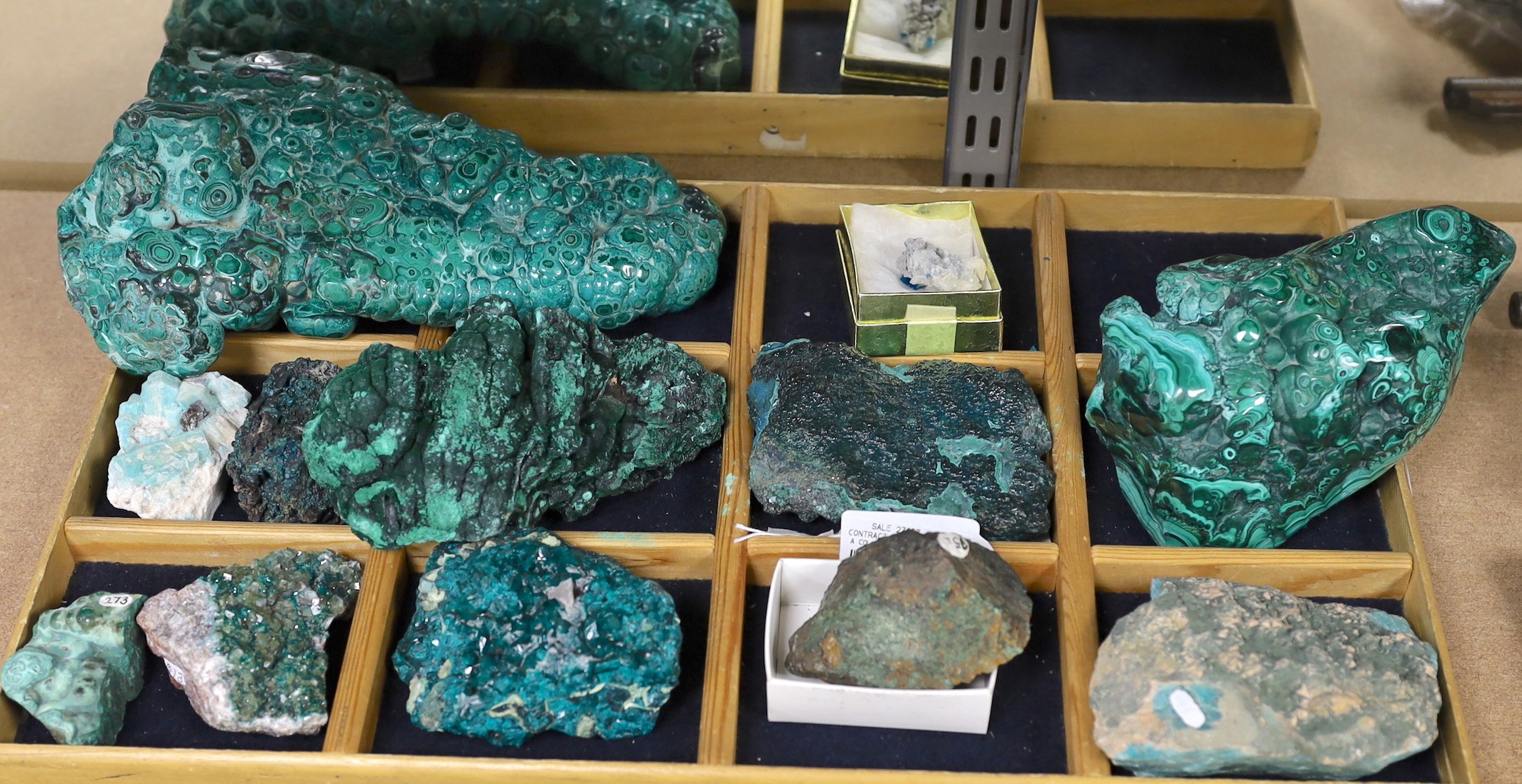 A collection of malachite varying in size and clarity (12)